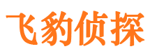 乌达市侦探公司